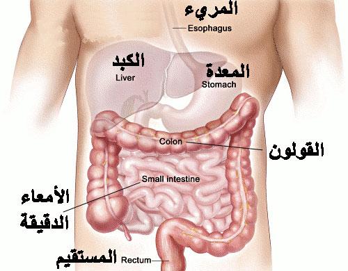 مرض القولون - اسباب وعلاج مشاكل القولون 5069