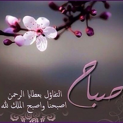 صباح الخير مع دعاء - اجمل صور لصباح الخير مكتوبه عليها ادعيه 2867 6