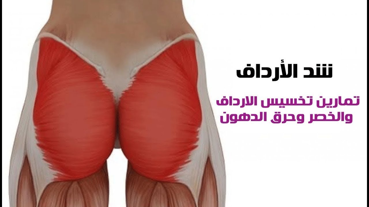 كيفيه تنحيف الارداف والخلفيه