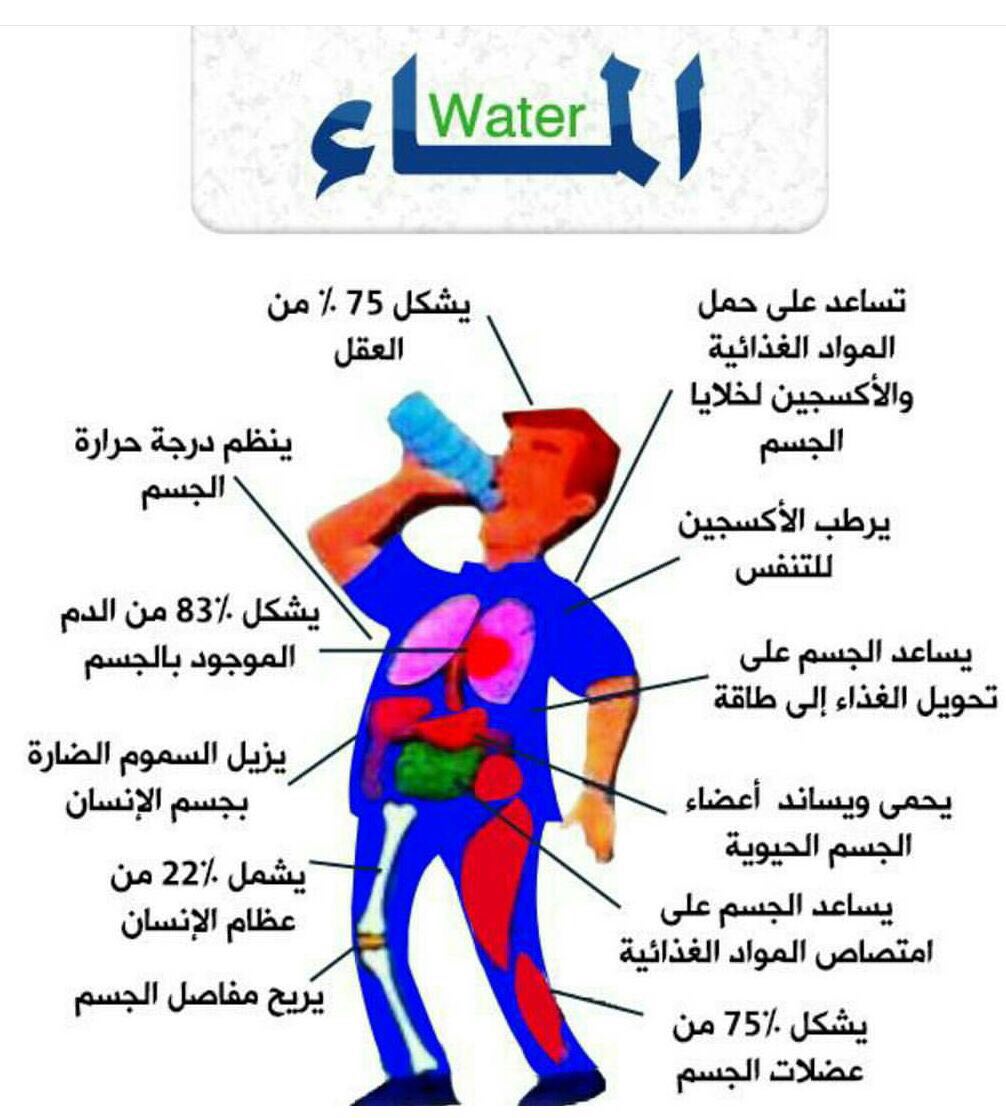 فوائد شرب الماء - شرب الماء مفيدا لجسم الانسان 2826 2