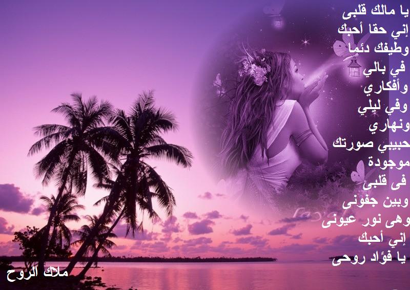 شعر للحبيب الغالي - شعر جميلا لحبيبى الغالى 3080 12