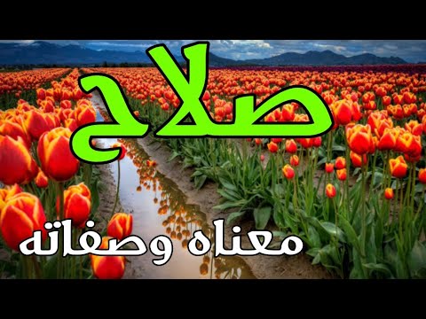 لكل اسم تفسير , اسم صلاح في المنام