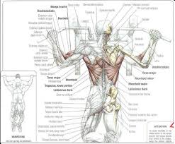 تمرين العقله , طريقه ممارسه تمرين العقله