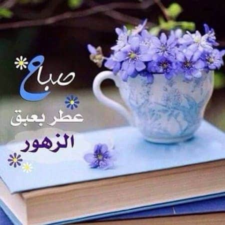 رسالة صباح الخير - اجمل واروع صور صباحية جميلة 6566 13