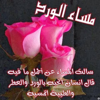 اجمل الصور مكتوب عليها مساء الخير , اجمل العبارت لمساء الخير