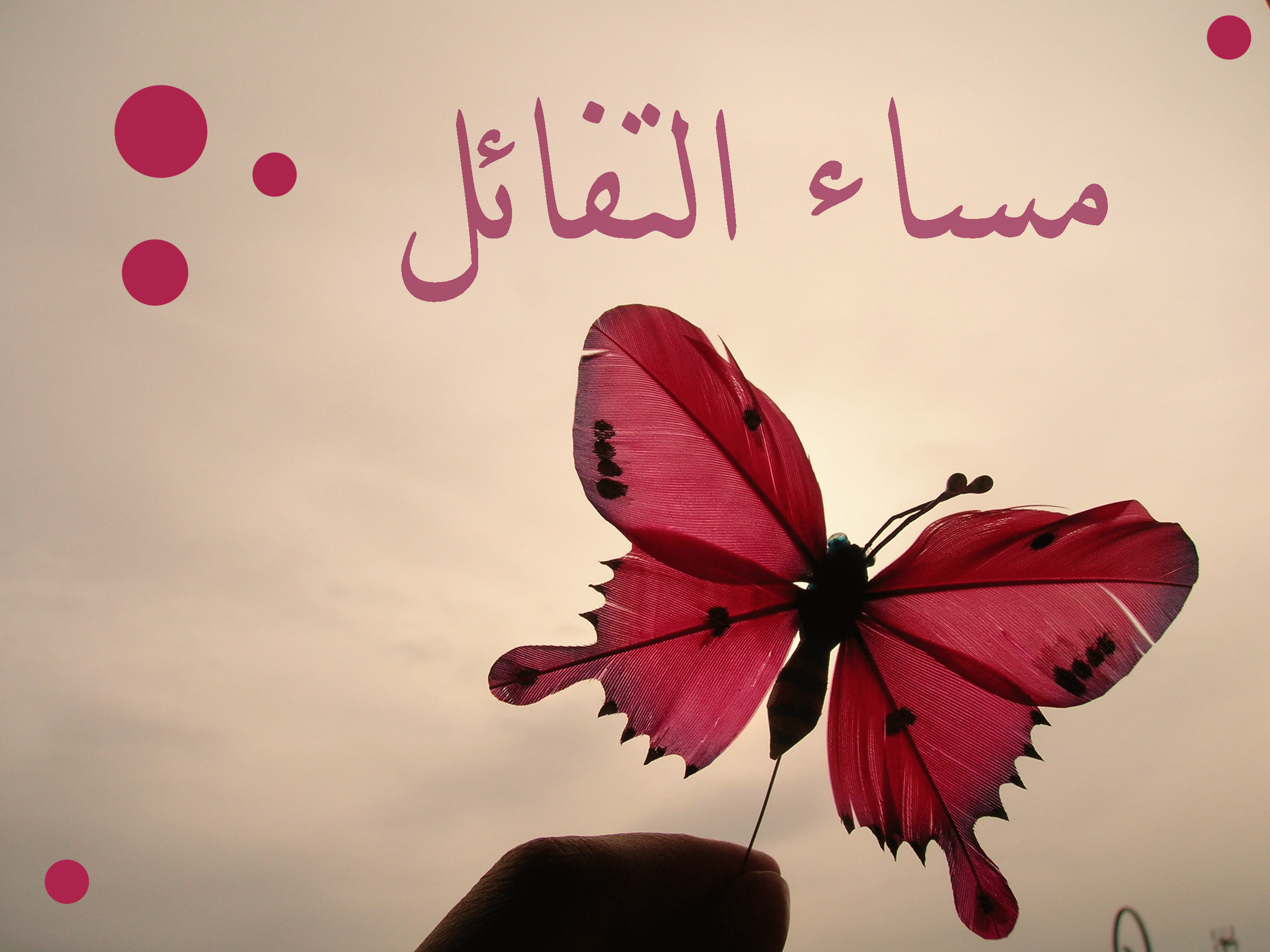 صور عن المساء - اجمل صور المساء 3651