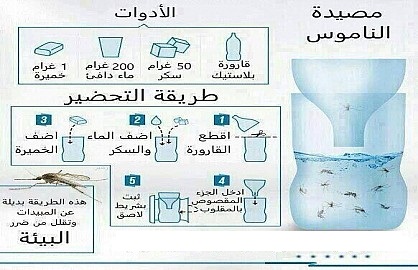 القضاء على الناموس , كيفيه التخلص من الناموس نهائيا