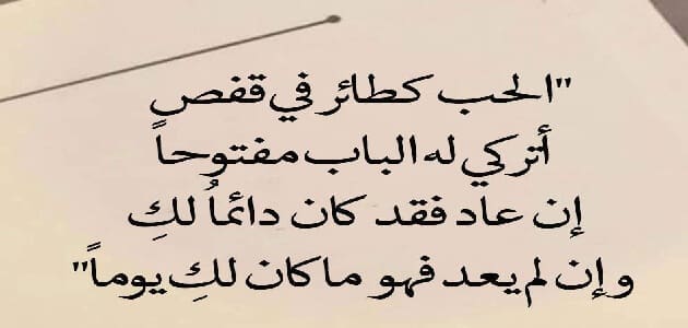 كلام جميل في الحب - اجمل ما قيل عن الحب⁦♥️⁩ 6057 8