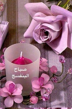 صباح الصباح - صور عن الصباح 5318 2