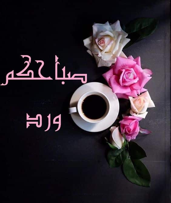 صور صباح الحب - اروع صور للحب صباحيه 5344 1