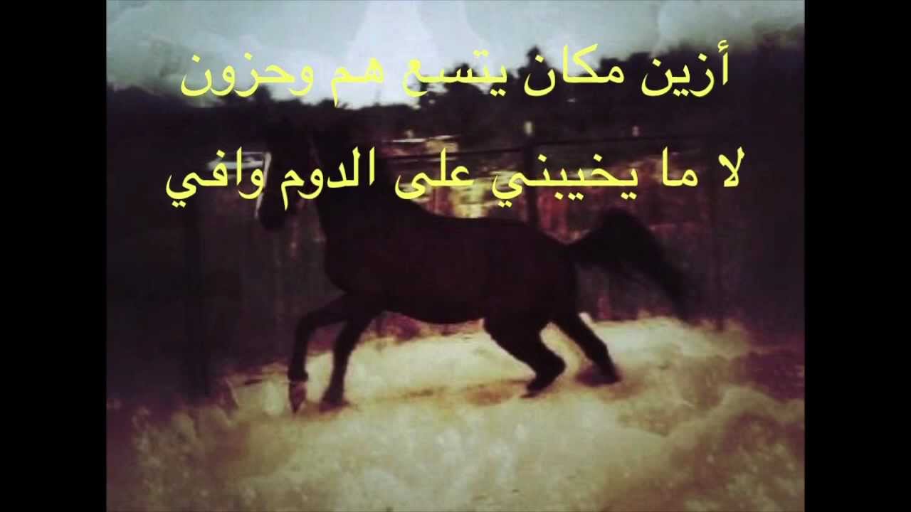 شعر عن الخيل - اجمل ماقيل عن الخيل وصور عنه 2819 3