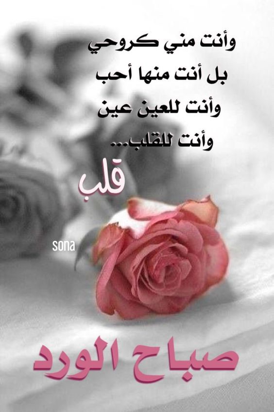 صور احلى صباح - احلي صور معبرة عن الصباح الجميل 👇 6601 13