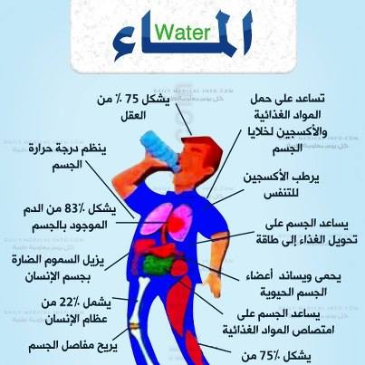 برنامج رجيم لتخفيف الوزن - بعض النصائح لتخفيف الوزن 5216 1