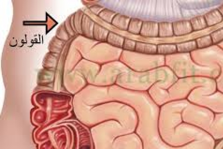القولون العصبي - افضل الماكولات لاصحاب القولون العصبي 656 9