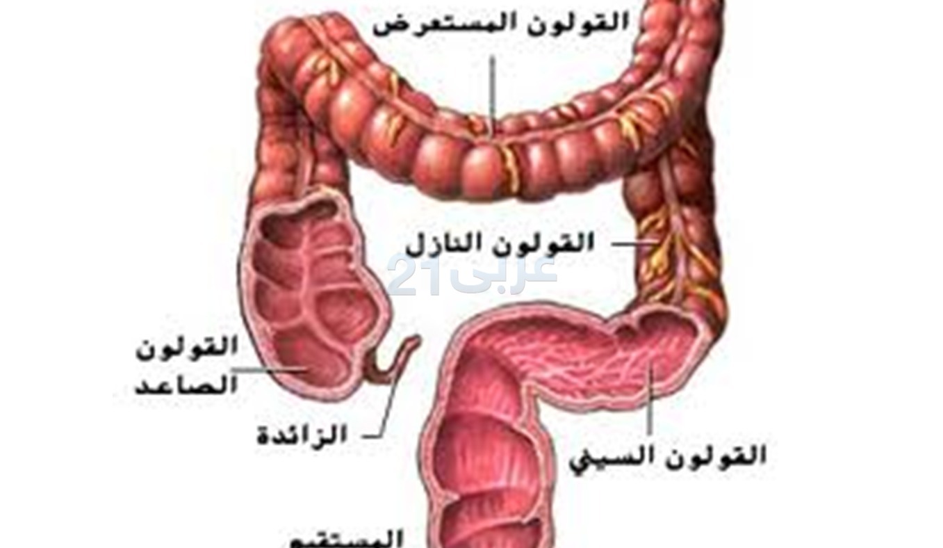 القولون العصبي - افضل الماكولات لاصحاب القولون العصبي 656 2