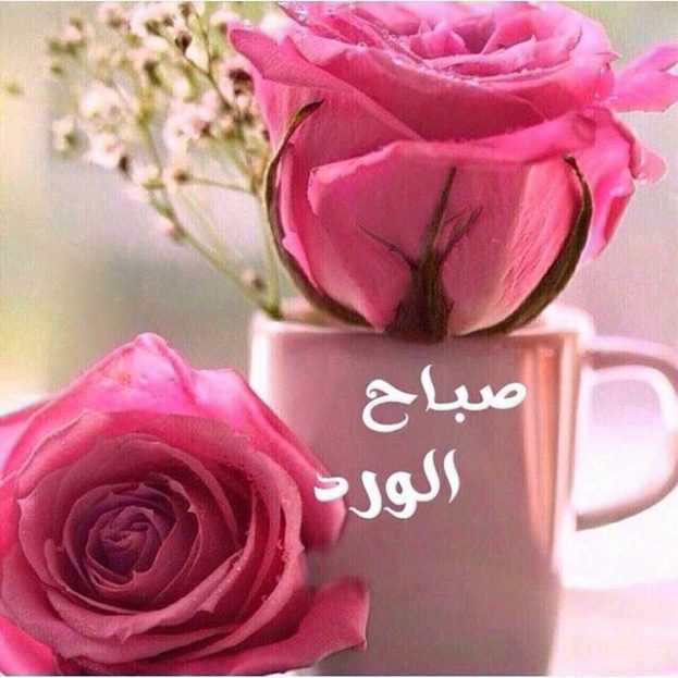 صور احلى صباح - احلي صور معبرة عن الصباح الجميل 👇 6601 7