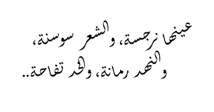 شعر غزل فاحش في وصف جسد المراة ، جميل للغاية 4262 1