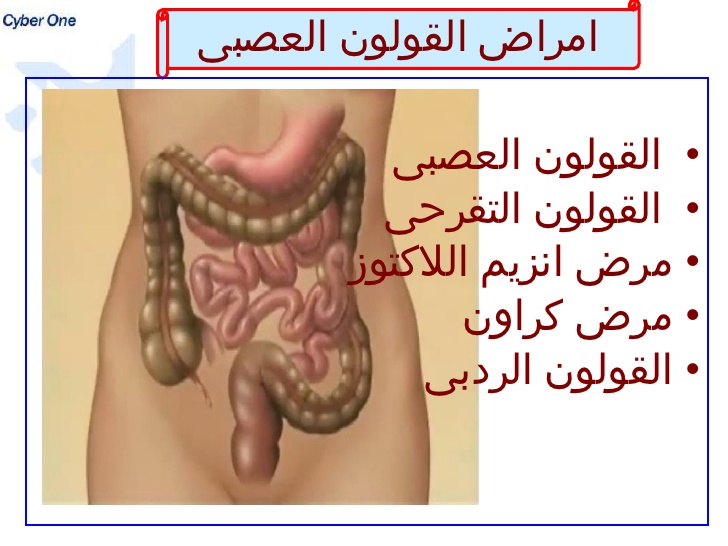 القولون العصبي - افضل الماكولات لاصحاب القولون العصبي 656 7