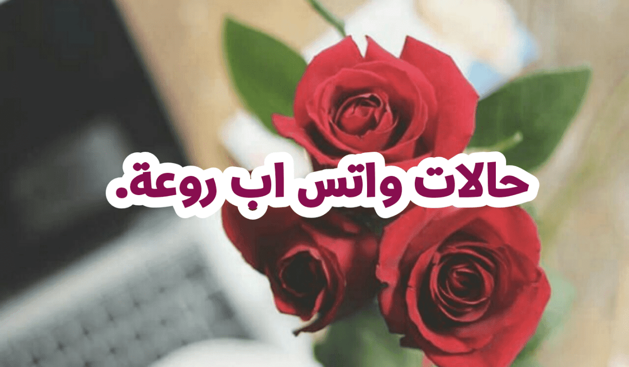 حالات واتس اب جامدة لمحبي الواتساب - حالات متنوعة للواتس اب جميلة وروعة 4065 3