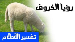 الحلم بذبح الخروف - تعرف علي معني حلم ذبح الخروف 12742 2