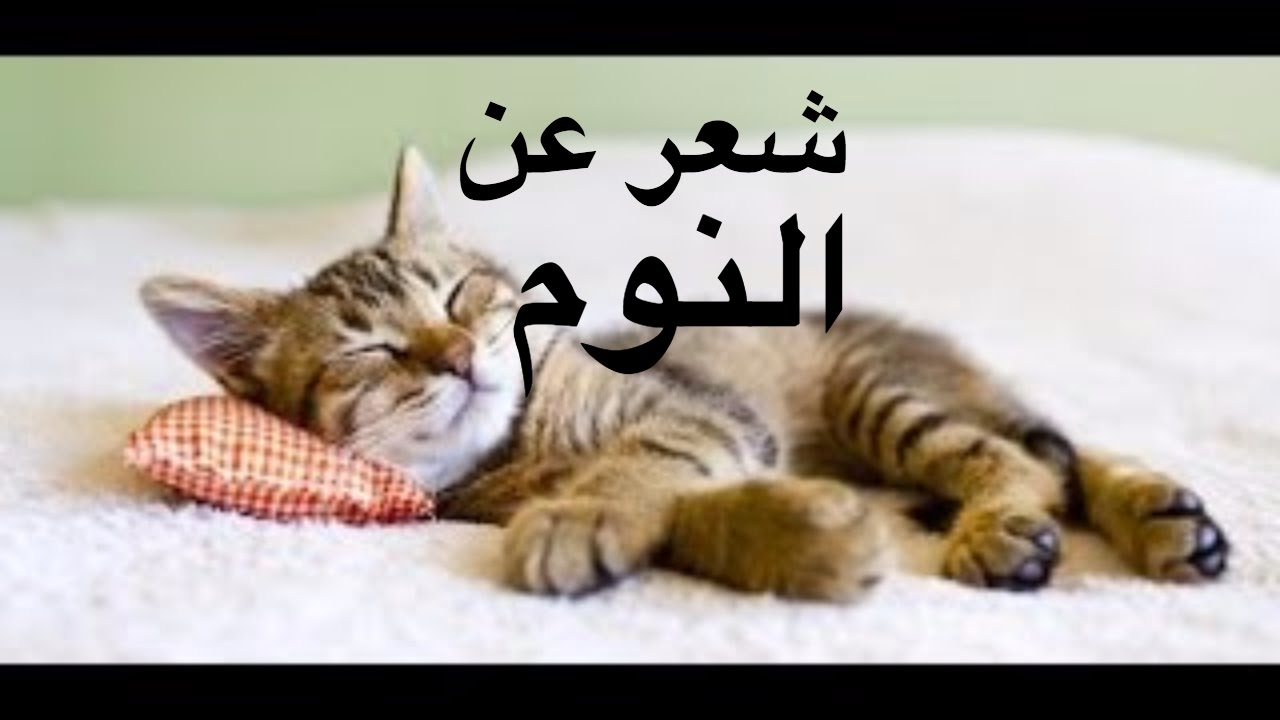 مش معقوول ايه الشعر دا , شعر عن النوم