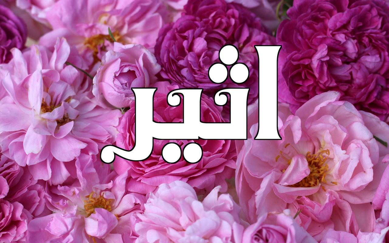 معنى اسم اثير ، صفات ومعنى اسم اثير 1572 3