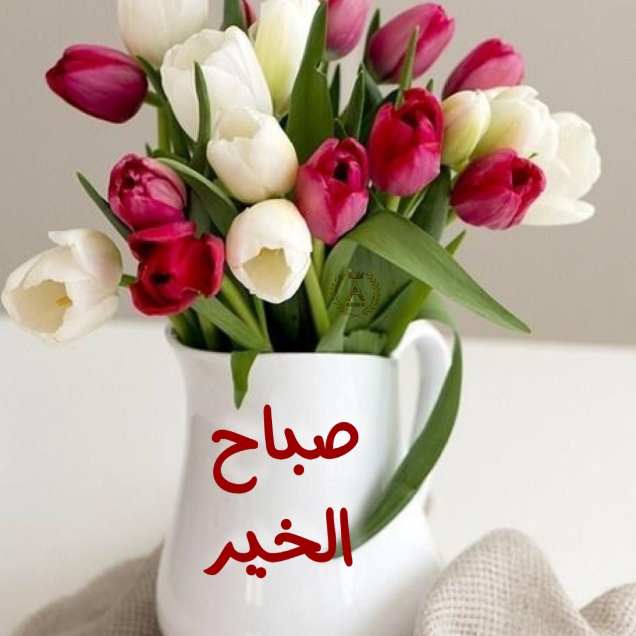 صور مع صباح الخير 12377 1