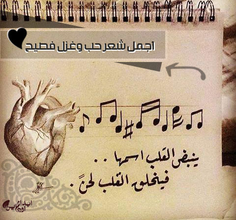 شعر غزل للحبيب - اجمل اشعار الحب للاحبه 4846 3