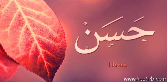 معنى اسم حسن - ماذا يعني اسم حسن 5647 2