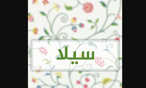 تفسير لمعنى سيلا - اسم سيلا بالانجليزي 12022 1