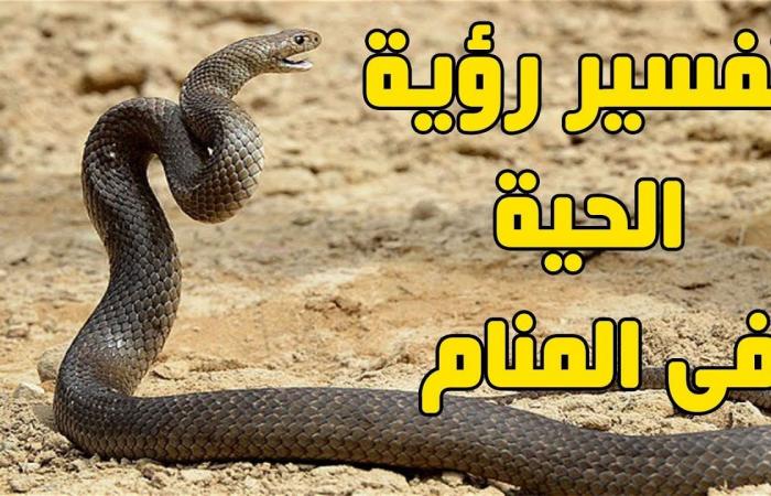 لو شفت حية في المناااااام ده معناه ايييييييه , تفسير الحية في المنام