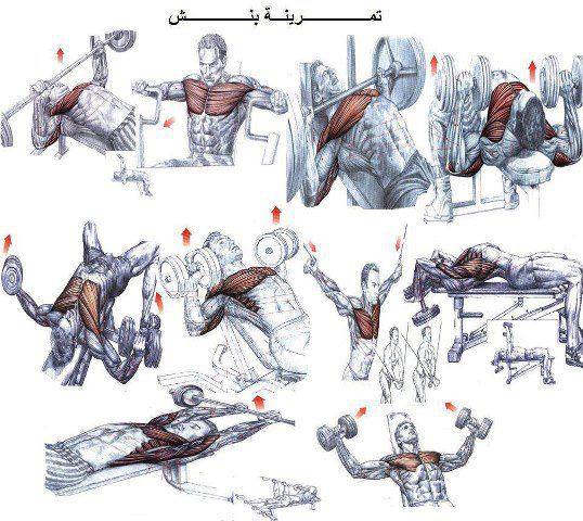 تمارين كمال اجسام - احصل على عضلات قوية و بارزة 5105 10