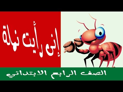 انى رايت نملة , شرح درس بكل سهوله للصف الرابع