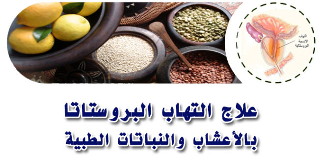 علاج البروستاتا بالاعشاب - كيف اتخلص من الام البروستاتا نهائيا4 534 3