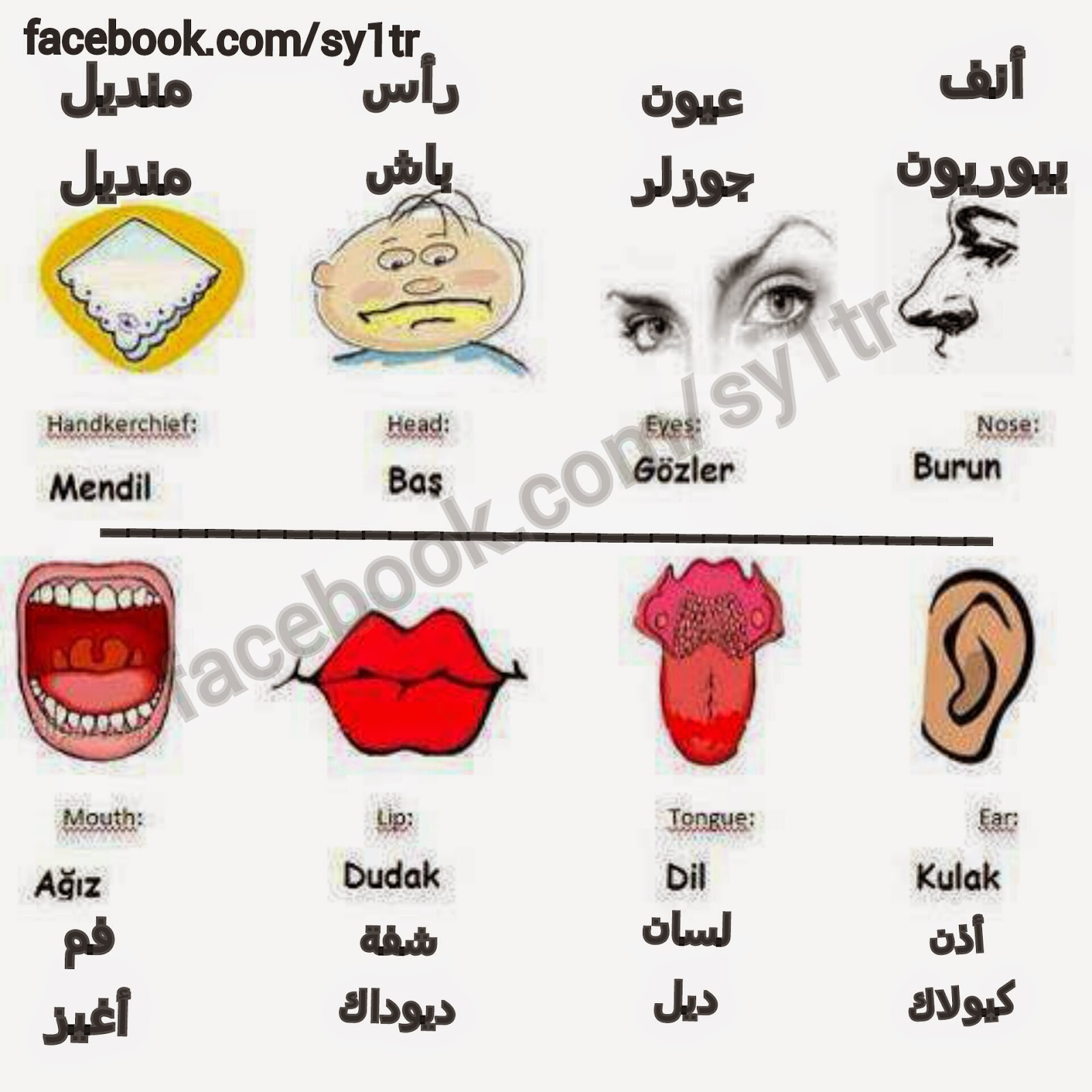 تعلم التركية - اسهل طريقة لتعلم اللغة التركية