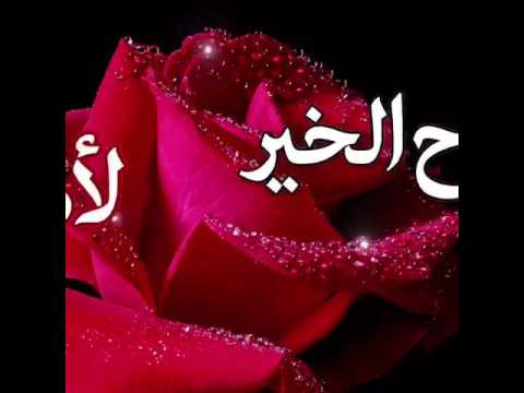 صور متحركه ورد - خلفيات زهور و ورد مميز 5648 4