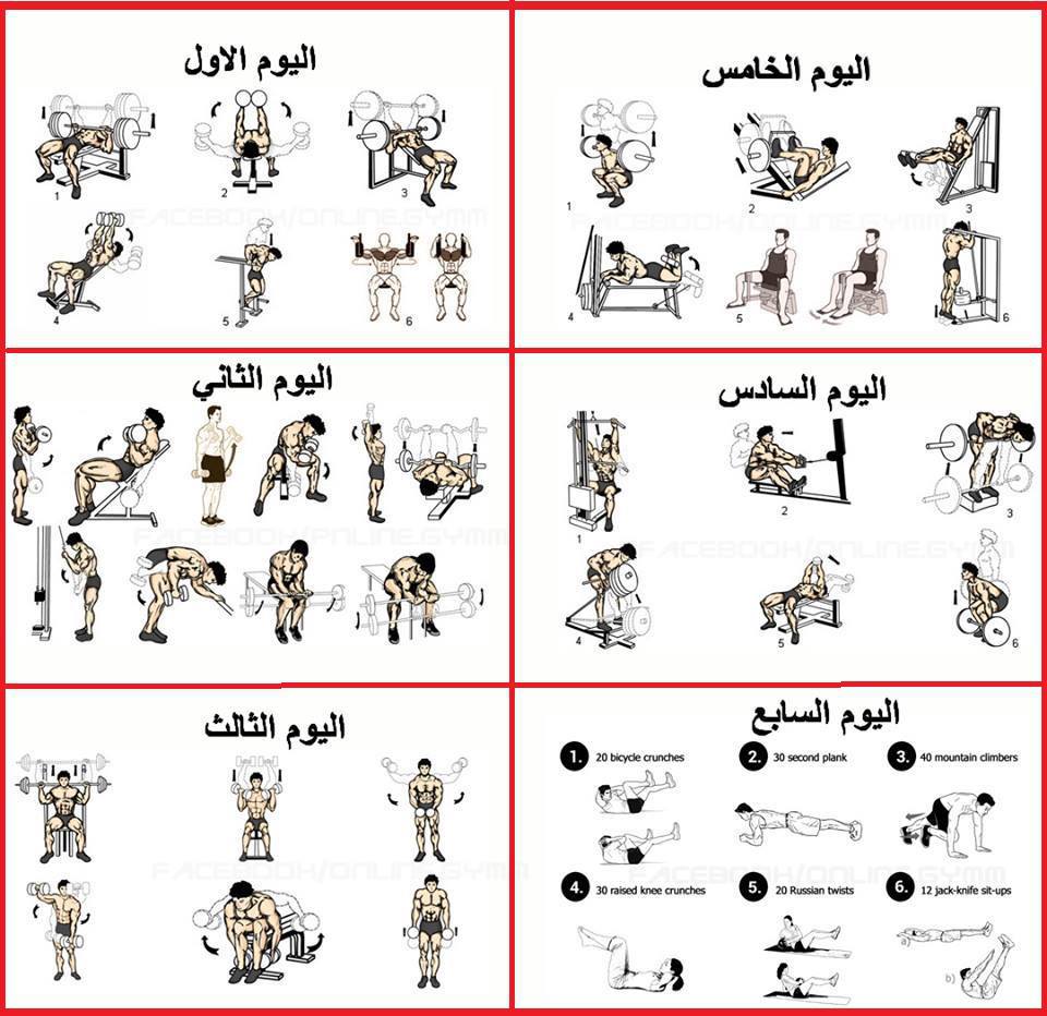 تمارين كمال اجسام - احصل على عضلات قوية و بارزة 5105 4