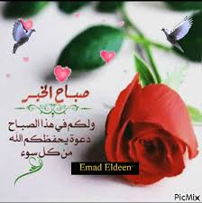 صور صباح الحب - اروع صور للحب صباحيه 5344 12