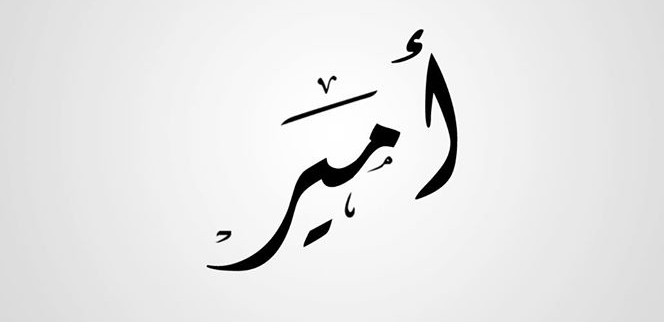 معنى اسم امير - تعرف علي معني اسم امير معاني لا تعرفها من قبل 659 1