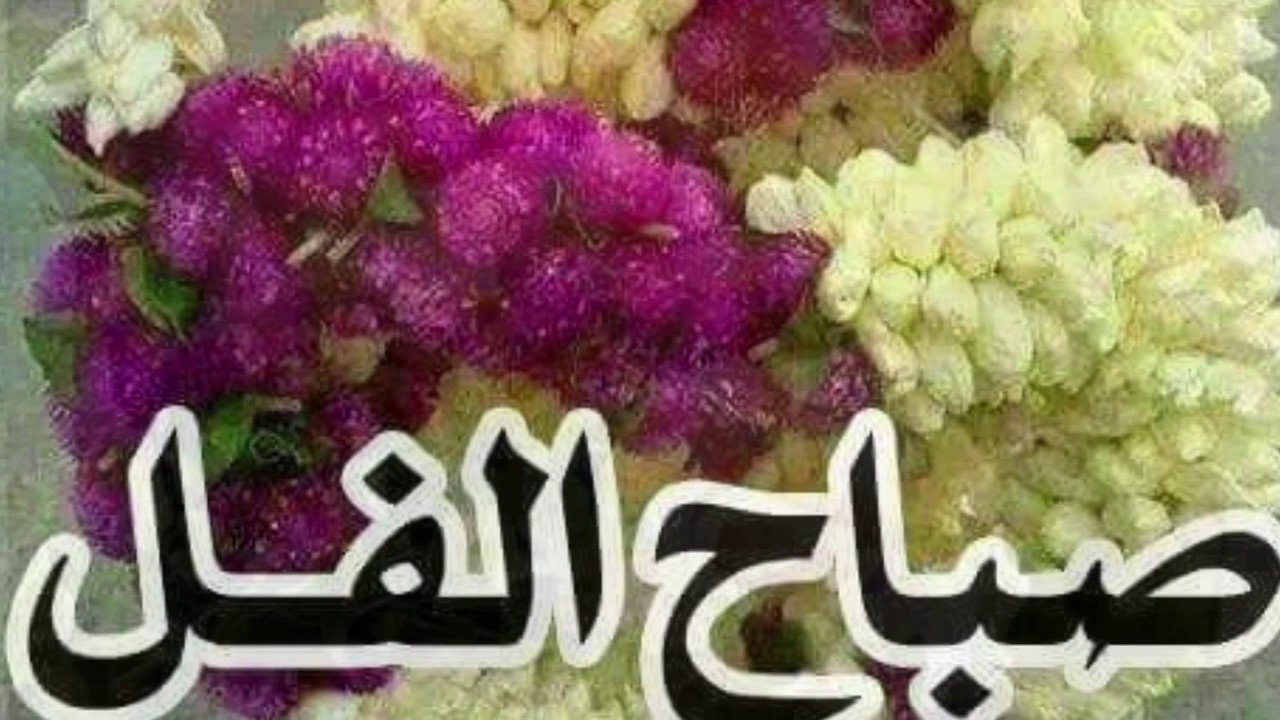 صور صباح الفل - صباح الفل علي عيونكم 6699 3