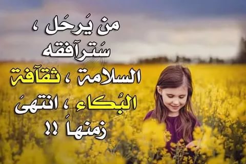 حالات واتس اب حلوه للبنات - احلى حالات للواتس اب للبنات 5905 2