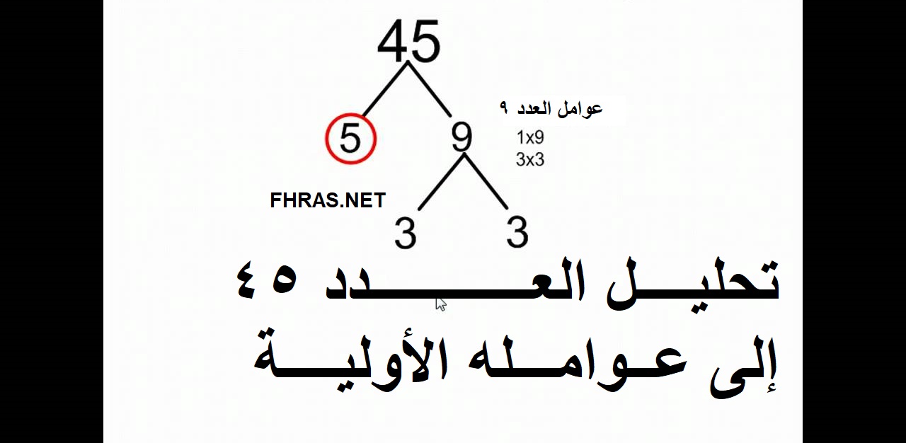 تحليل العدد ٤٥ الى عوامله الاولية هو , تعرف عليها الان