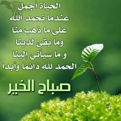 صور صباح الحب - اروع صور للحب صباحيه 5344 8