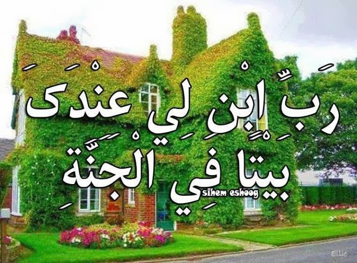 اجمل صور دينيه - اذكر الله وفضله مع اروع الصور الدينية 4642 13