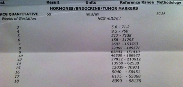 كم نسبة هرمون الحمل ، معلومات مهمة عن الحمل 12956