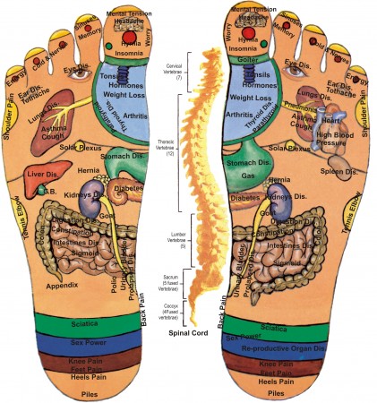 الطب الصيني - معلومات عن الطب الصيني 6573 1