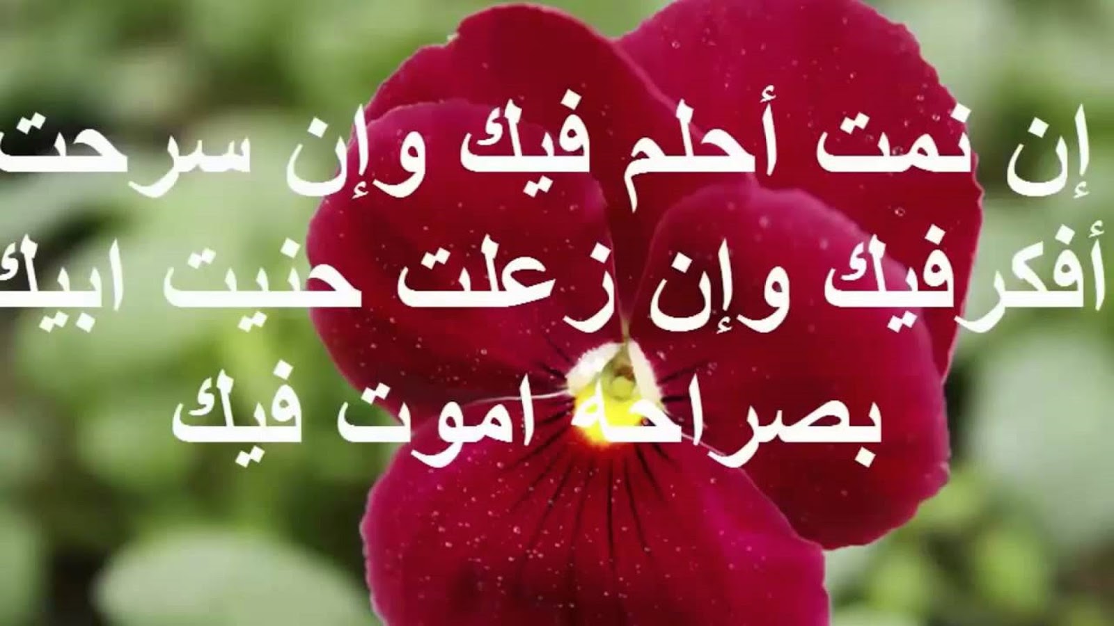 اجمل رسالة حب , ارق واجمل رسائل للحب