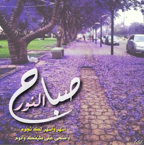 صور صباح النور - اجمل عبارات وصور لصباح النور 2859 3