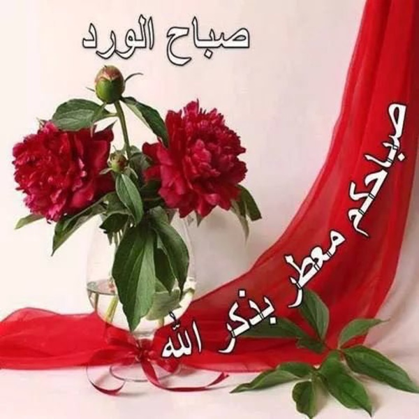 بوستات صباحية - صور لبوستات للصباح 3057 10