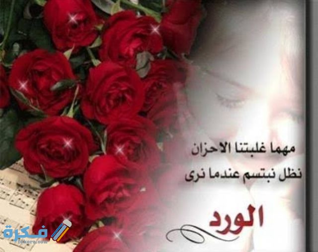 صور ورود جميله، رائعة 1333 8